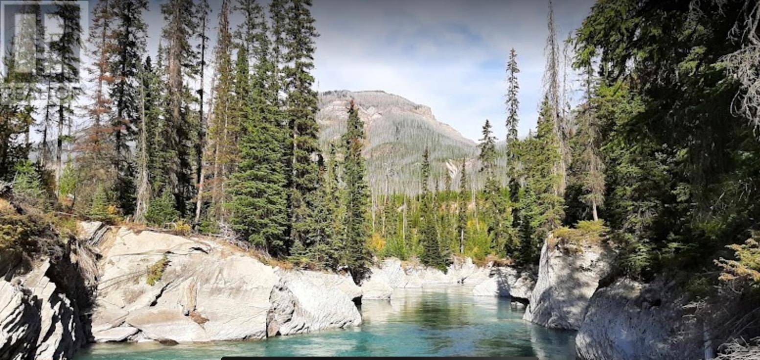 Spillimacheen, BC V0A1M0,9500 Highway 93 S