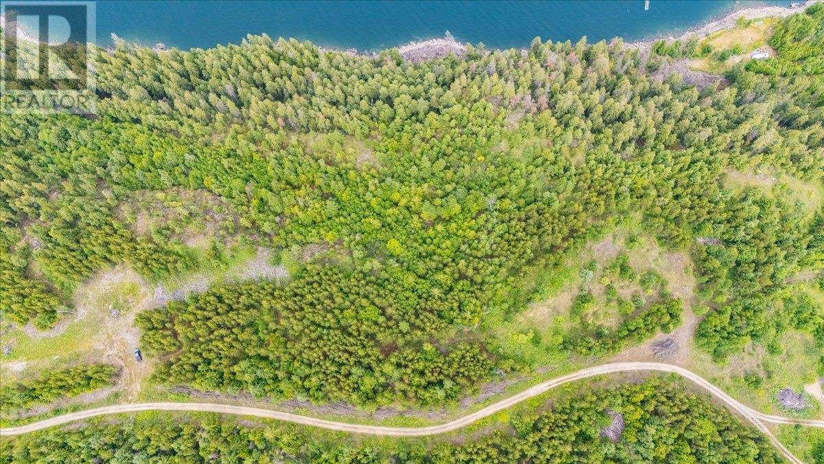 Castlegar, BC V1N3H9,Lower Arrow Lake Lot# 5