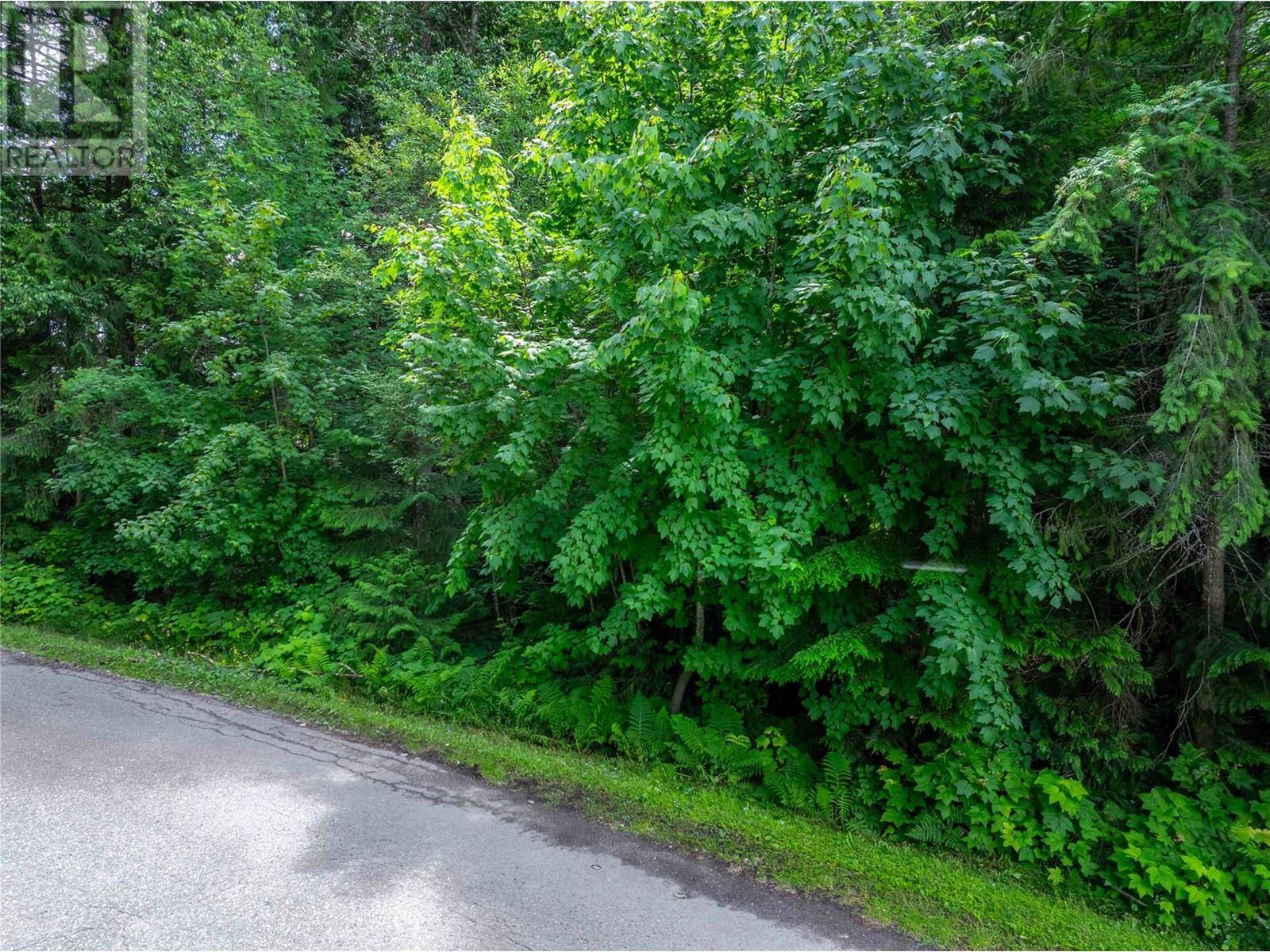 Revelstoke, BC V0E2S1,1571 Pratico Road