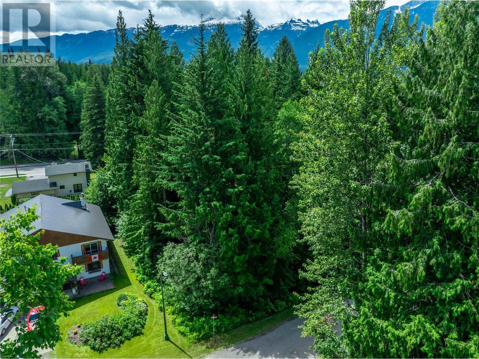 Revelstoke, BC V0E2S1,1571 Pratico Road