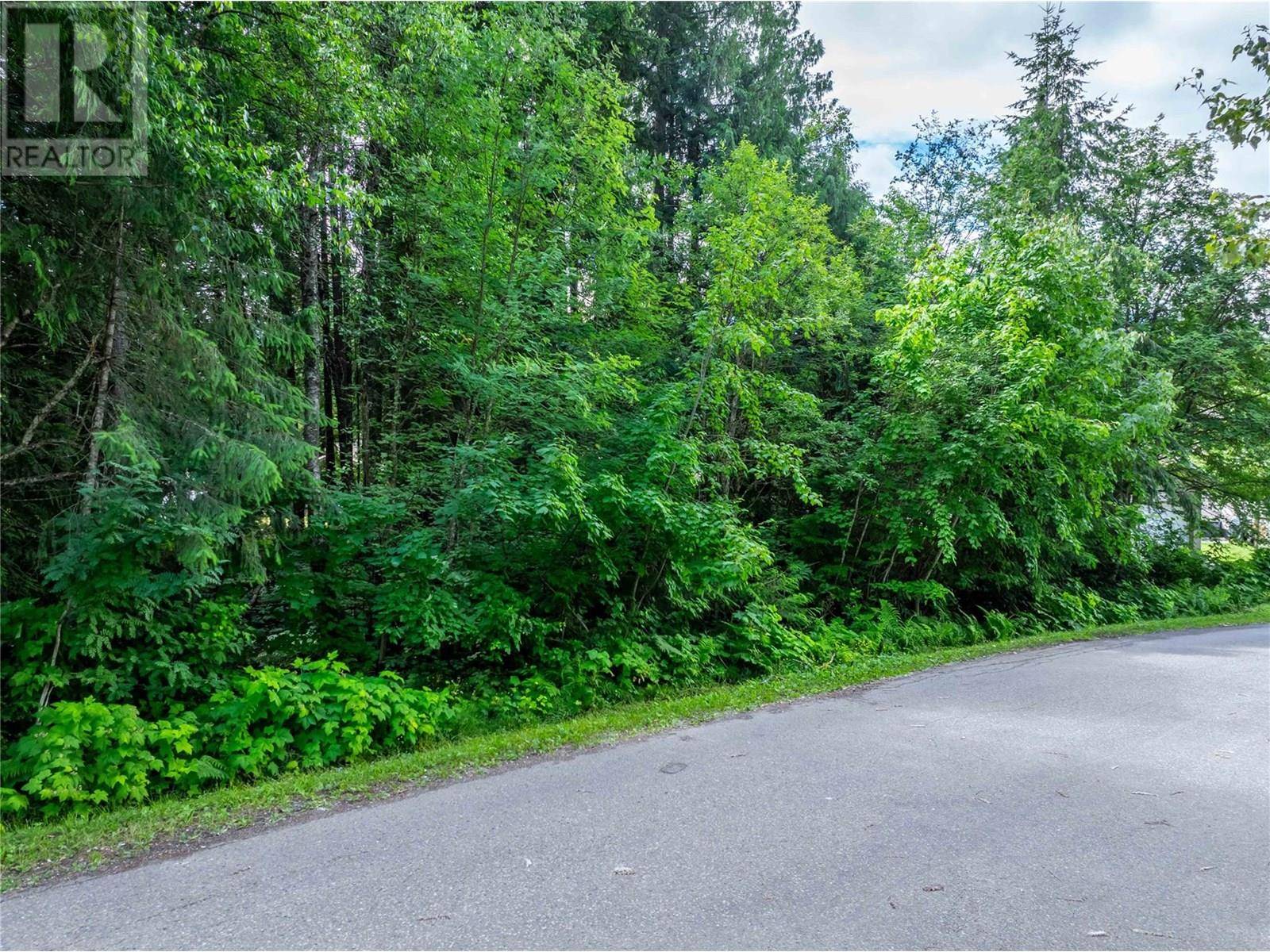 Revelstoke, BC V0E2S1,1571 Pratico Road