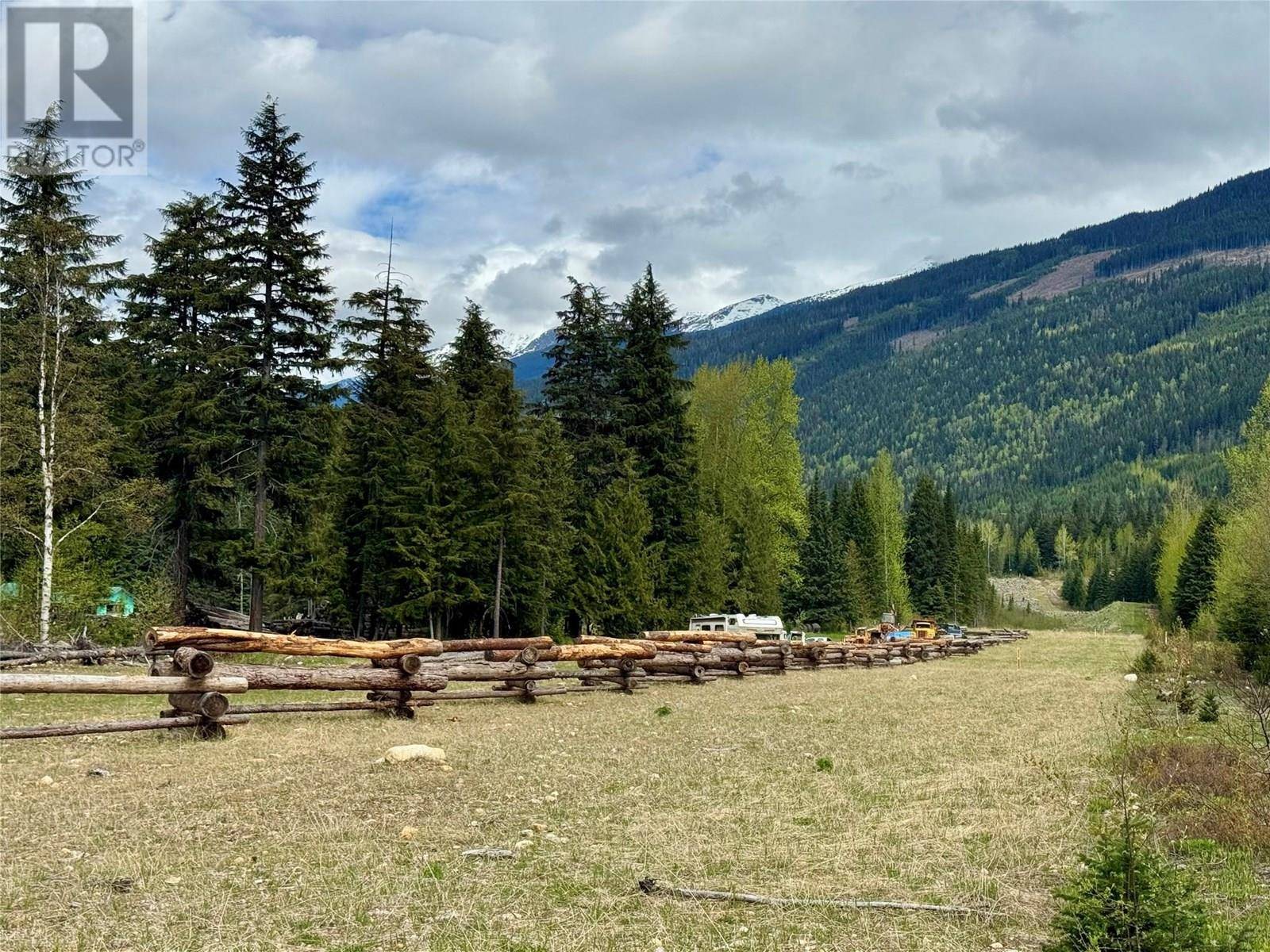 Valemount, BC V0E1Z0,9550 Clemina Creek Forestry Service Road