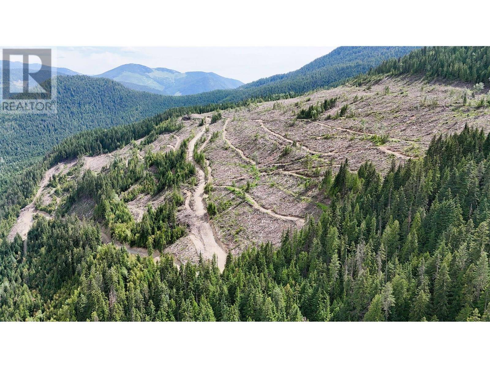 Ymir, BC V0G2K0,Quartz Creek Forest Service Road Road Lot# Parcel A