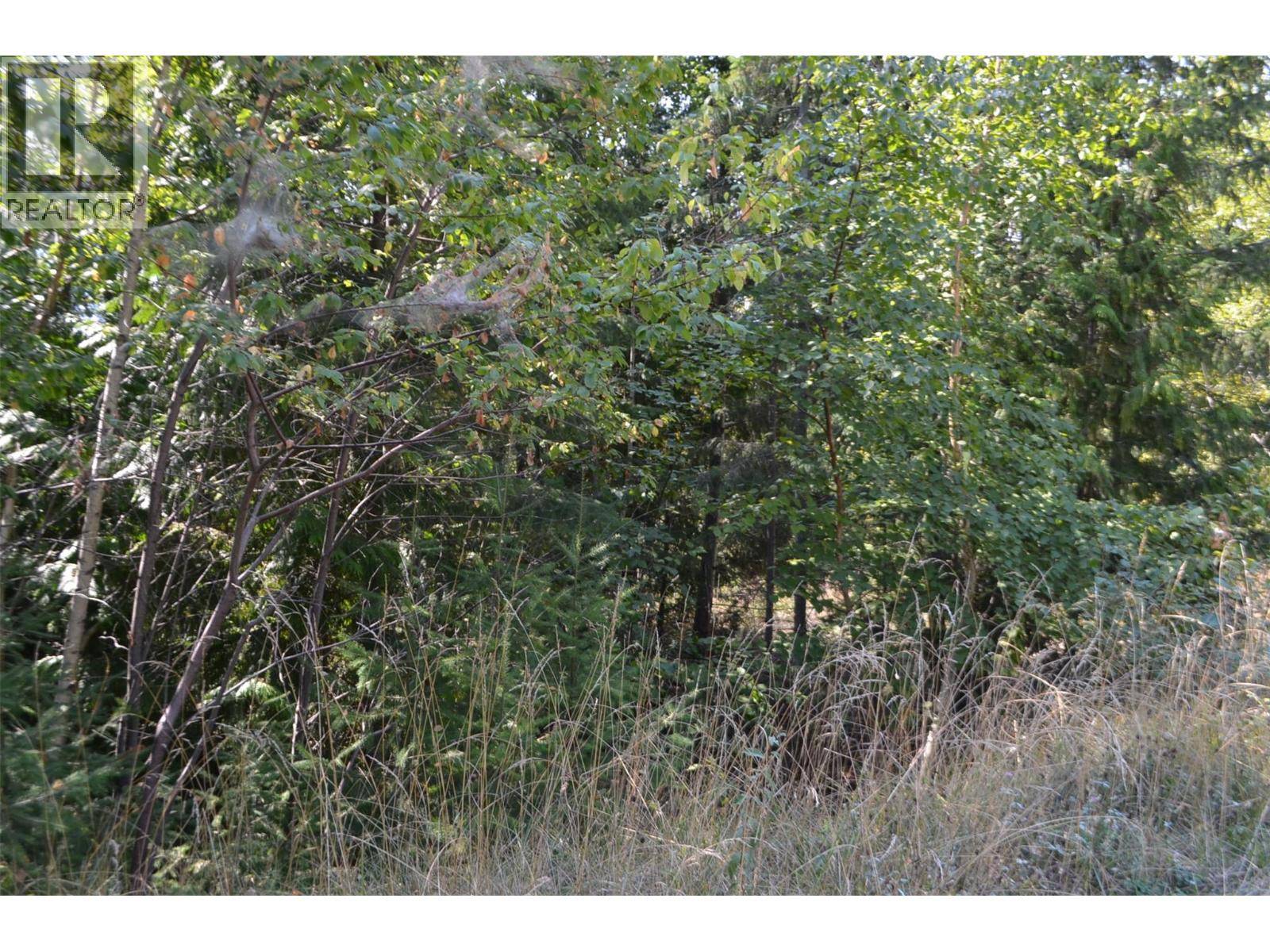 Anglemont, BC V0E1M8,Fraser Road Lot# 59