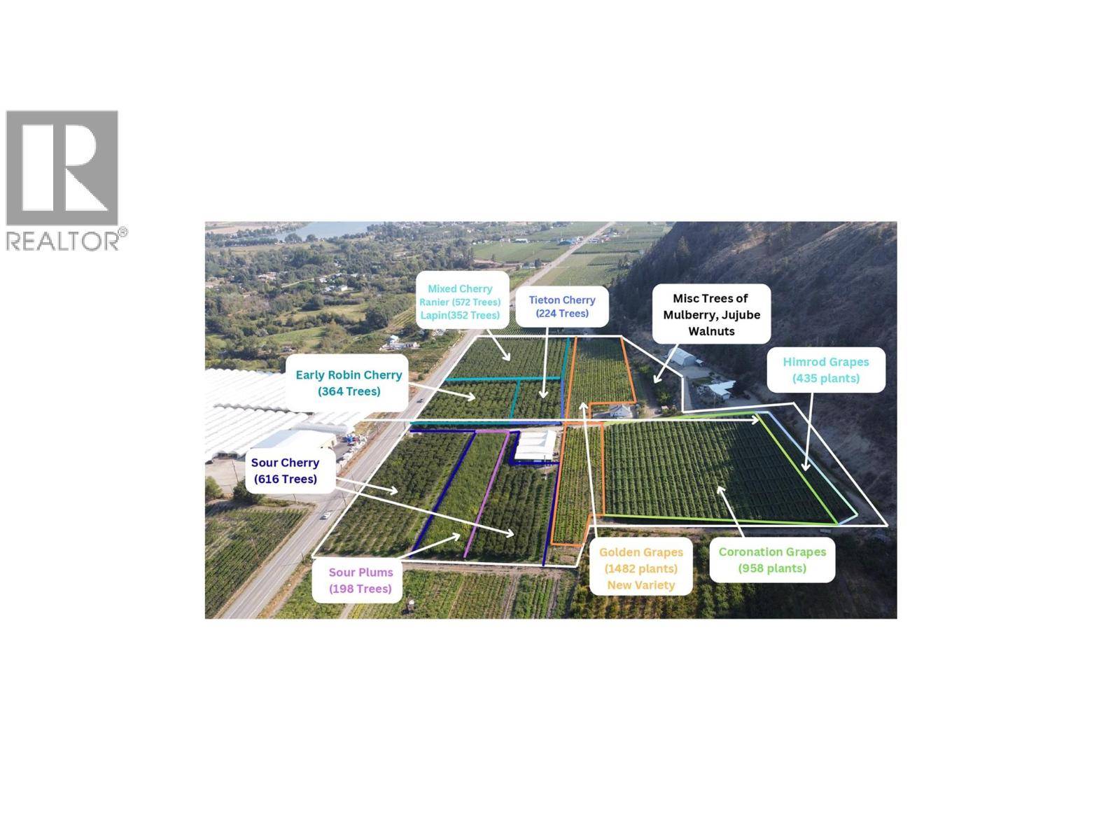 Oliver, BC V0H1T0,7298 HWY 97 Highway