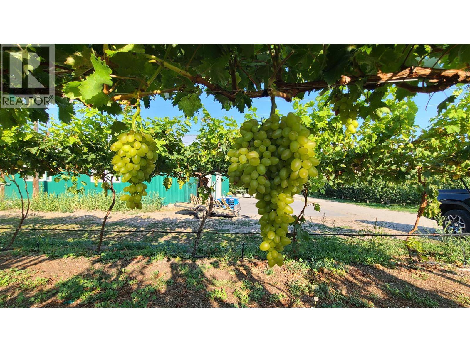 Oliver, BC V0H1T0,7298 HWY 97 Highway