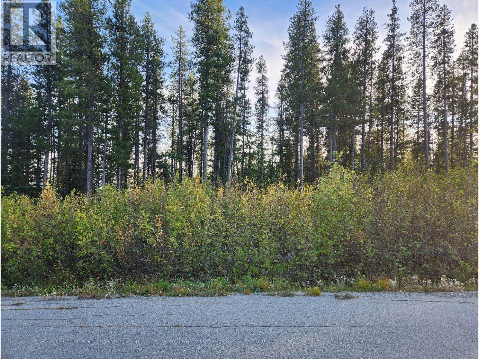 Oliver, BC V0H1T8,Buck Road Lot# 21