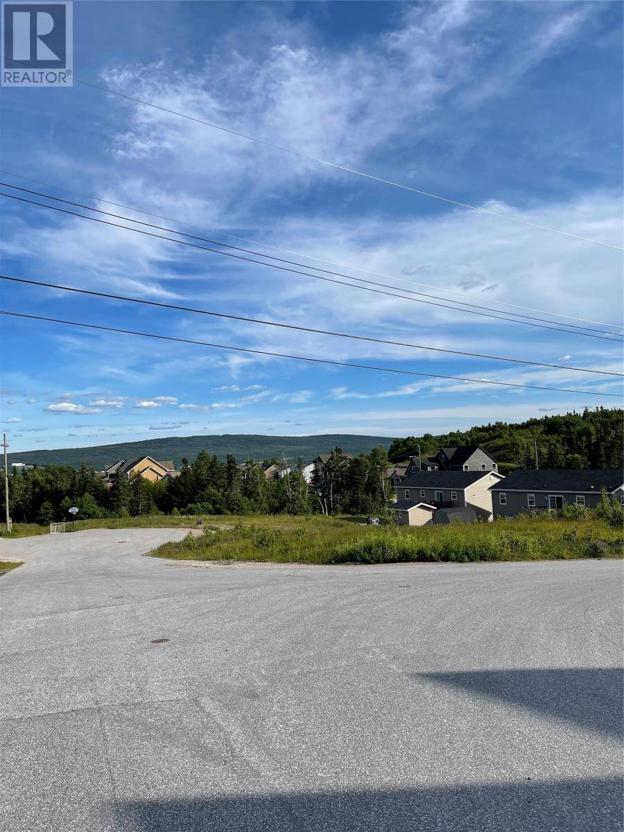 Deer Lake, NL A8A0B6,8A Jacks Place