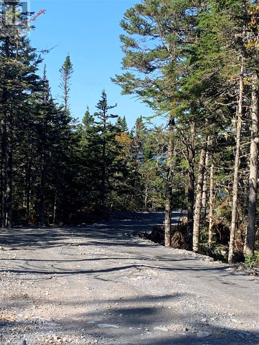 Brigus Junction, NL A0B1G0,Lot 25 Halleran Trail