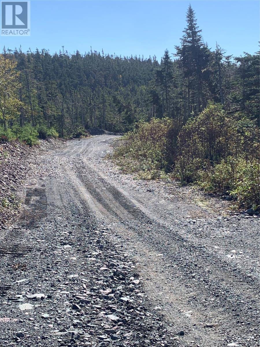 Brigus Junction, NL A0B1G0,Lot 29 Halleran Trail