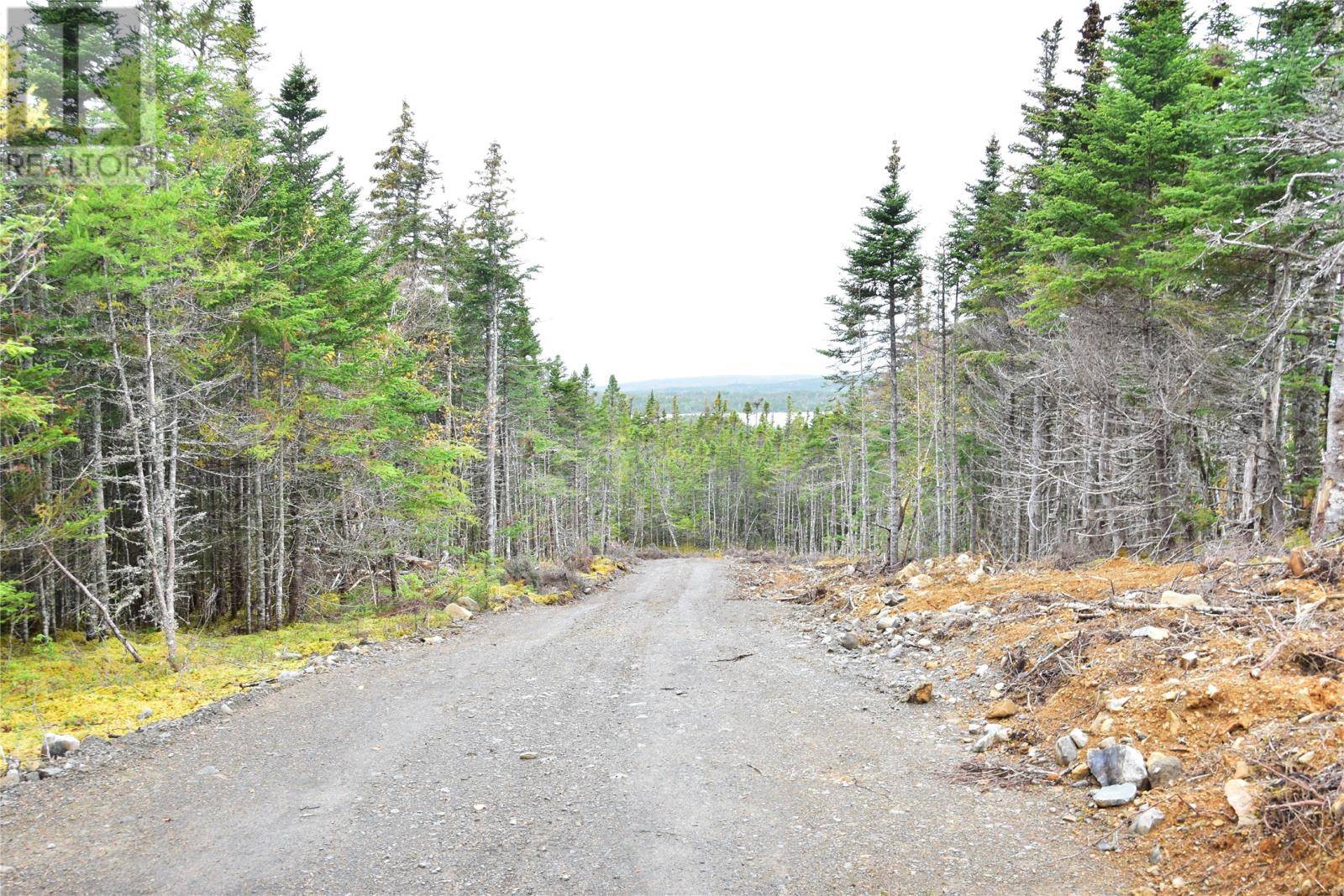 Shearstown / Butlerville, NL A0A1G0,Lot 3 Second Pond Road