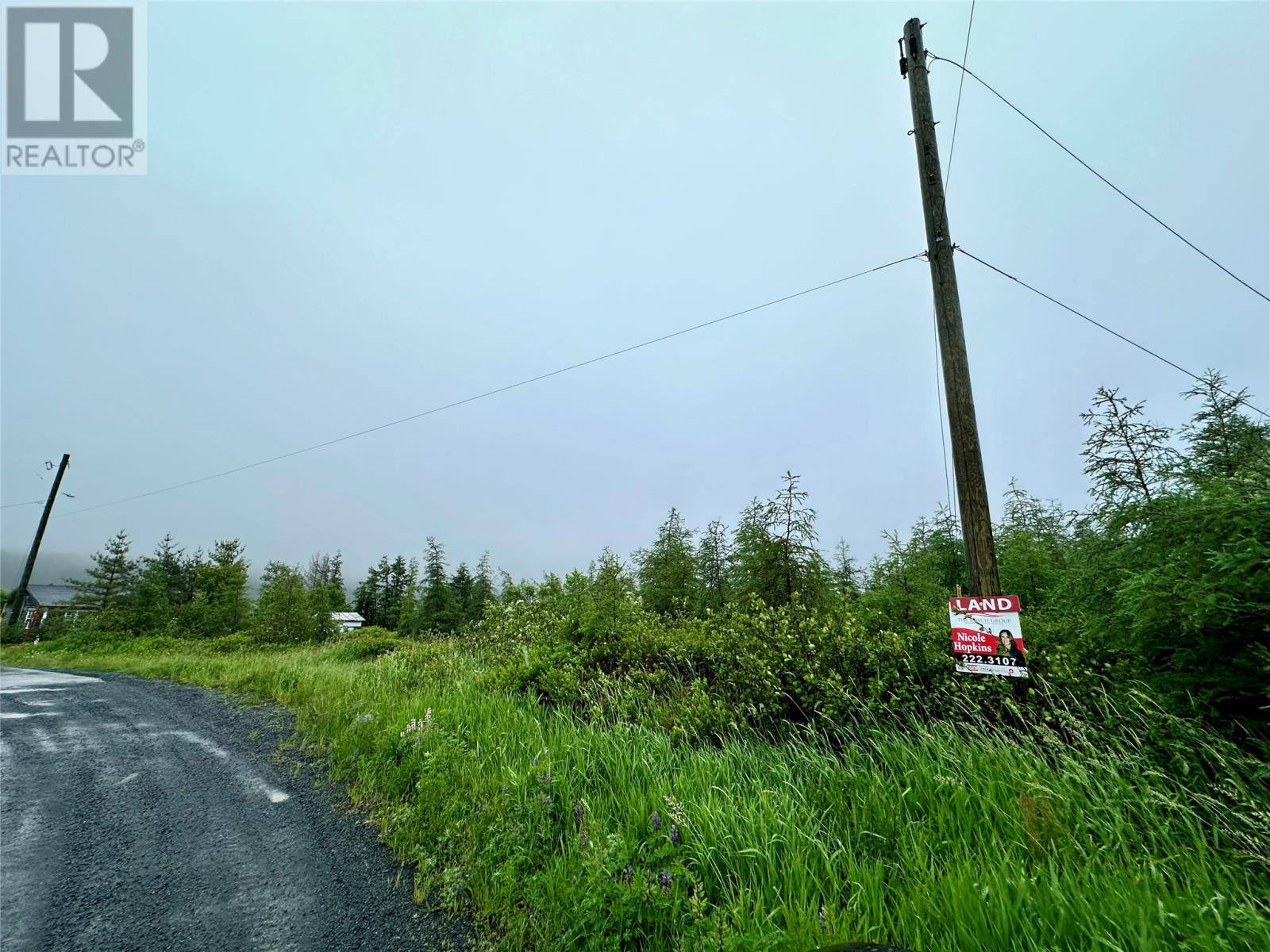 Spaniards Bay, NL A0A3X0,15-19 Singletons Road