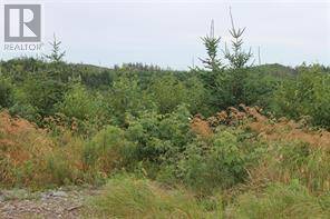 Brigus Junction, NL A0B1G0,Lot 129 Country Path