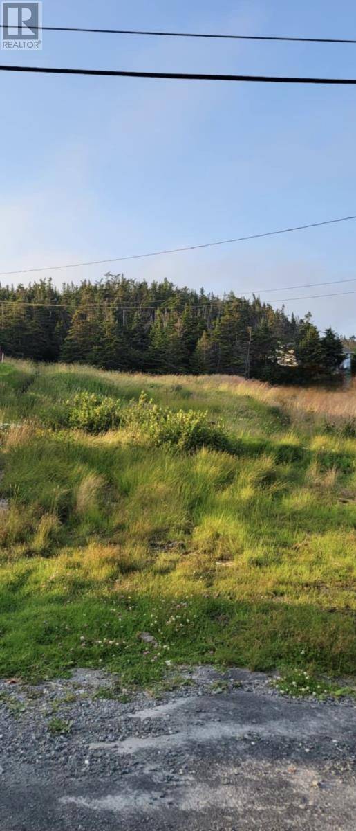 Freshwater Placentia, NL A0B1W0,48 Old Settlement Hill