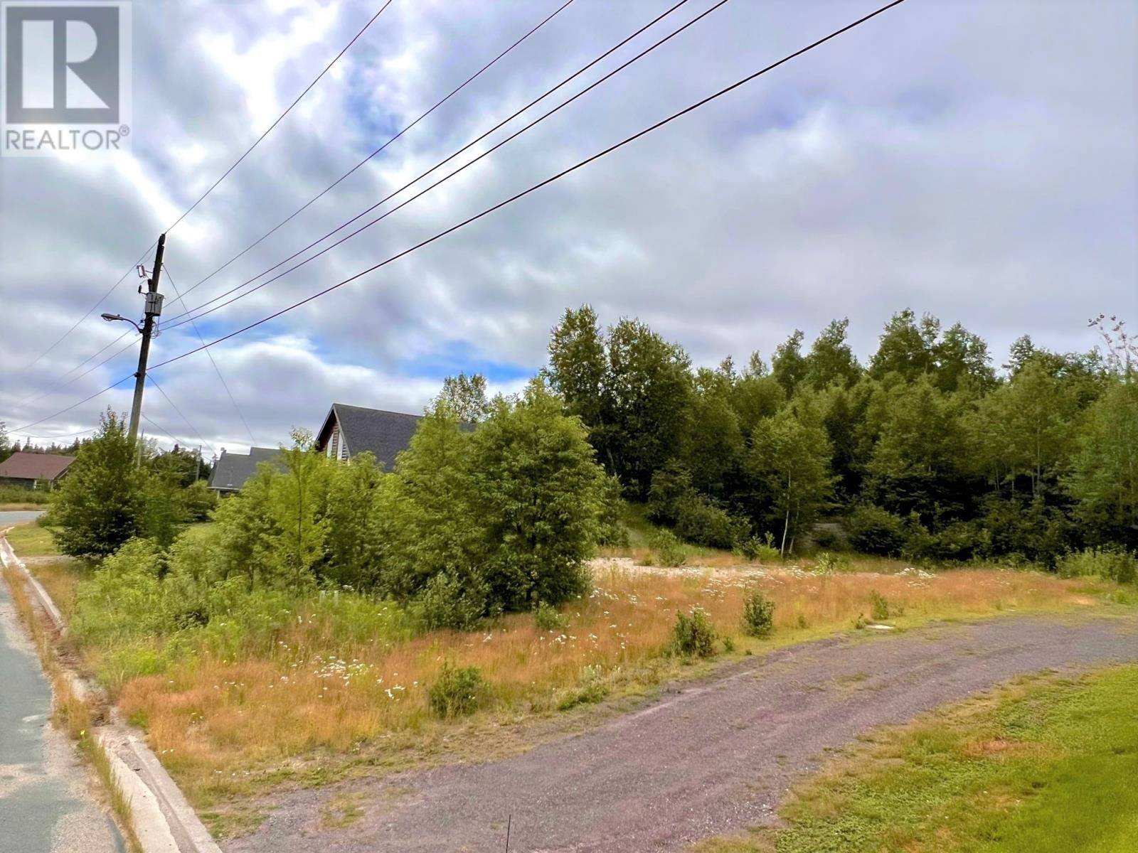 Port Blandford, NL A0C2G0,LOT 23 TERRA NOVA GOLF Estates