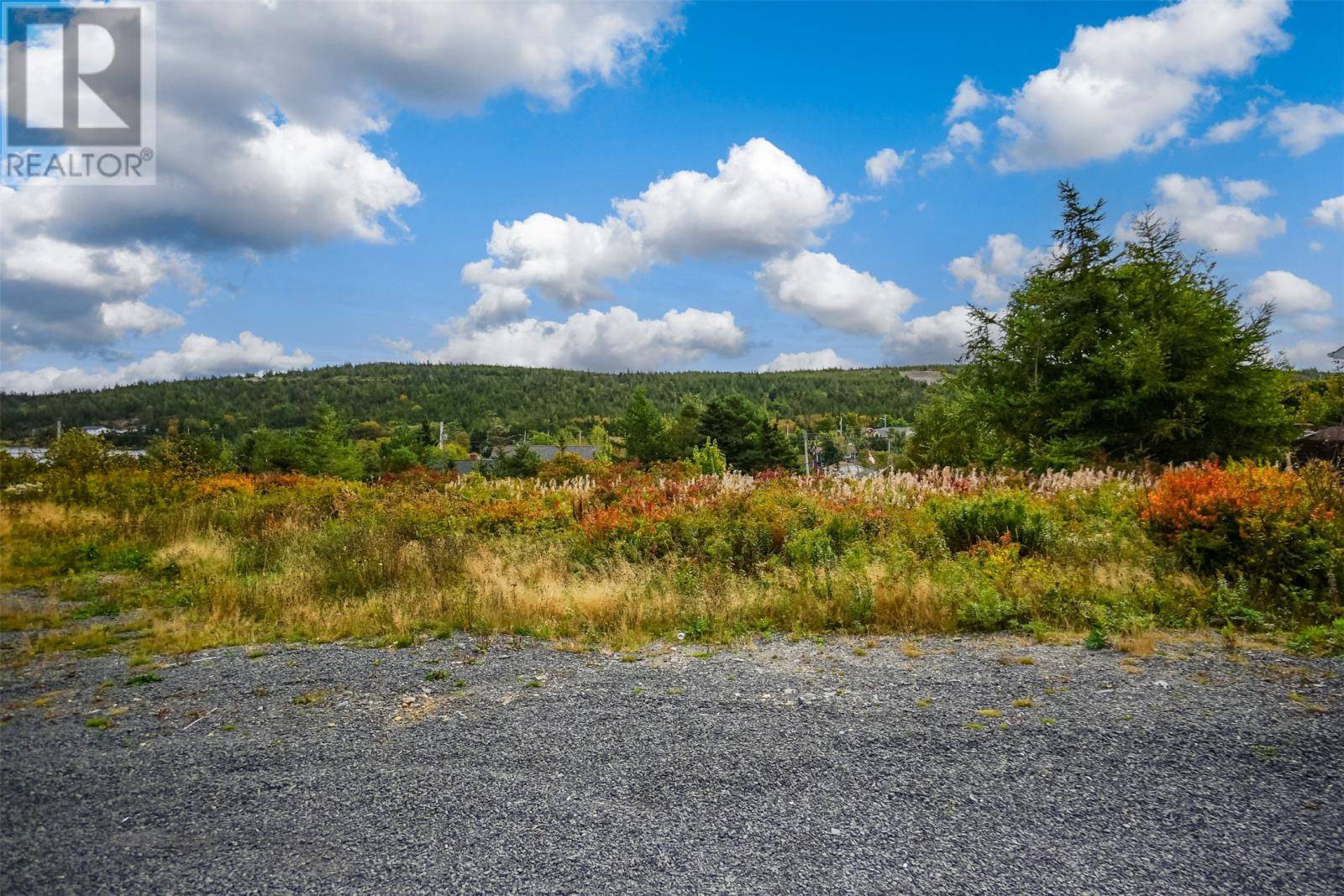 Spaniards Bay, NL A0A3X0,149-151 Back Track Road