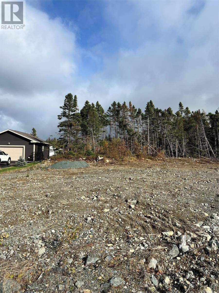 Conception Bay South, NL A1W0H5,9 Blue Spruce Drive