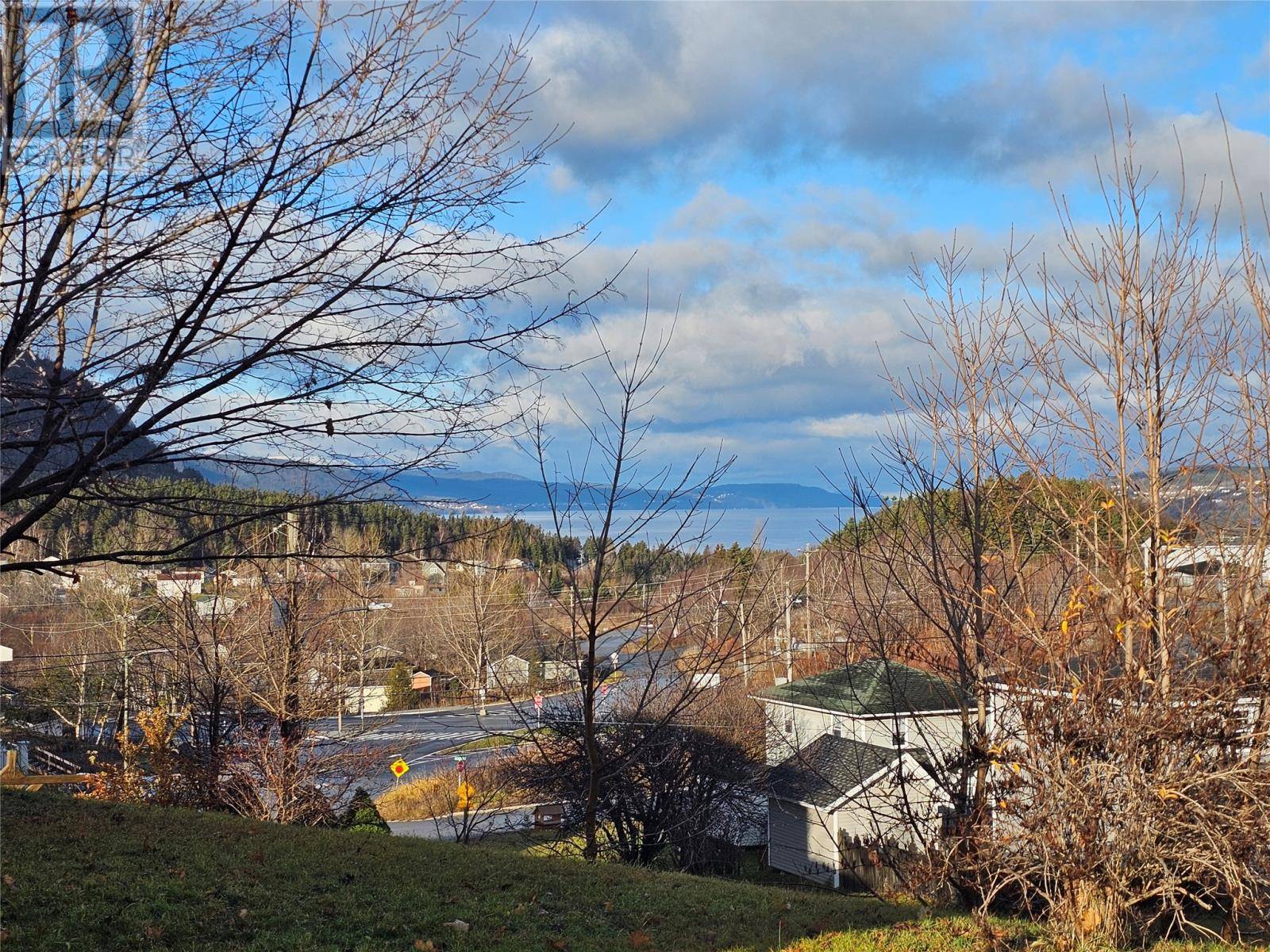 Corner Brook, NL A2H3V6,4 Youngs Avenue