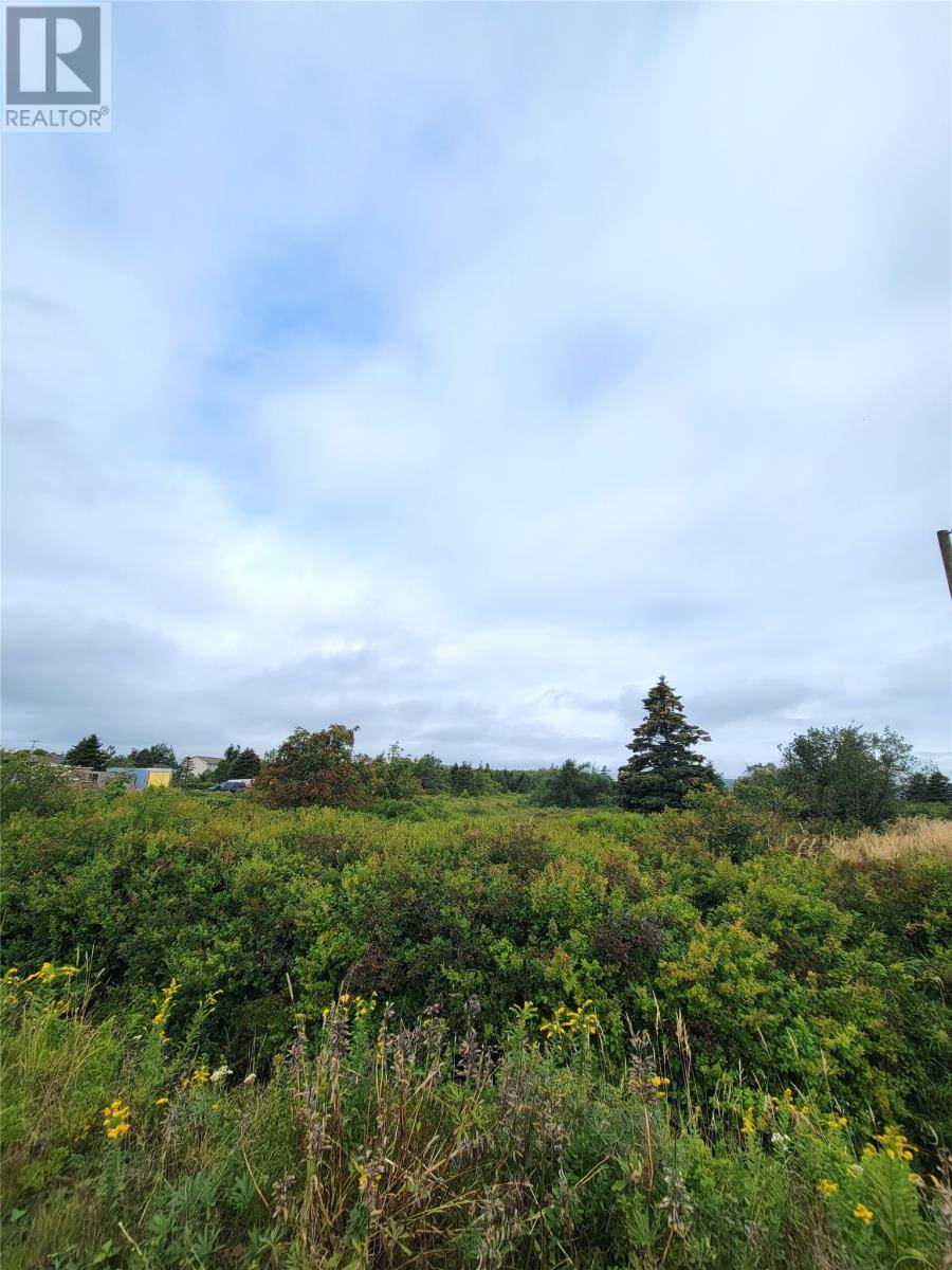 Bay Roberts, NL A0A1G0,70A CENTRAL Street