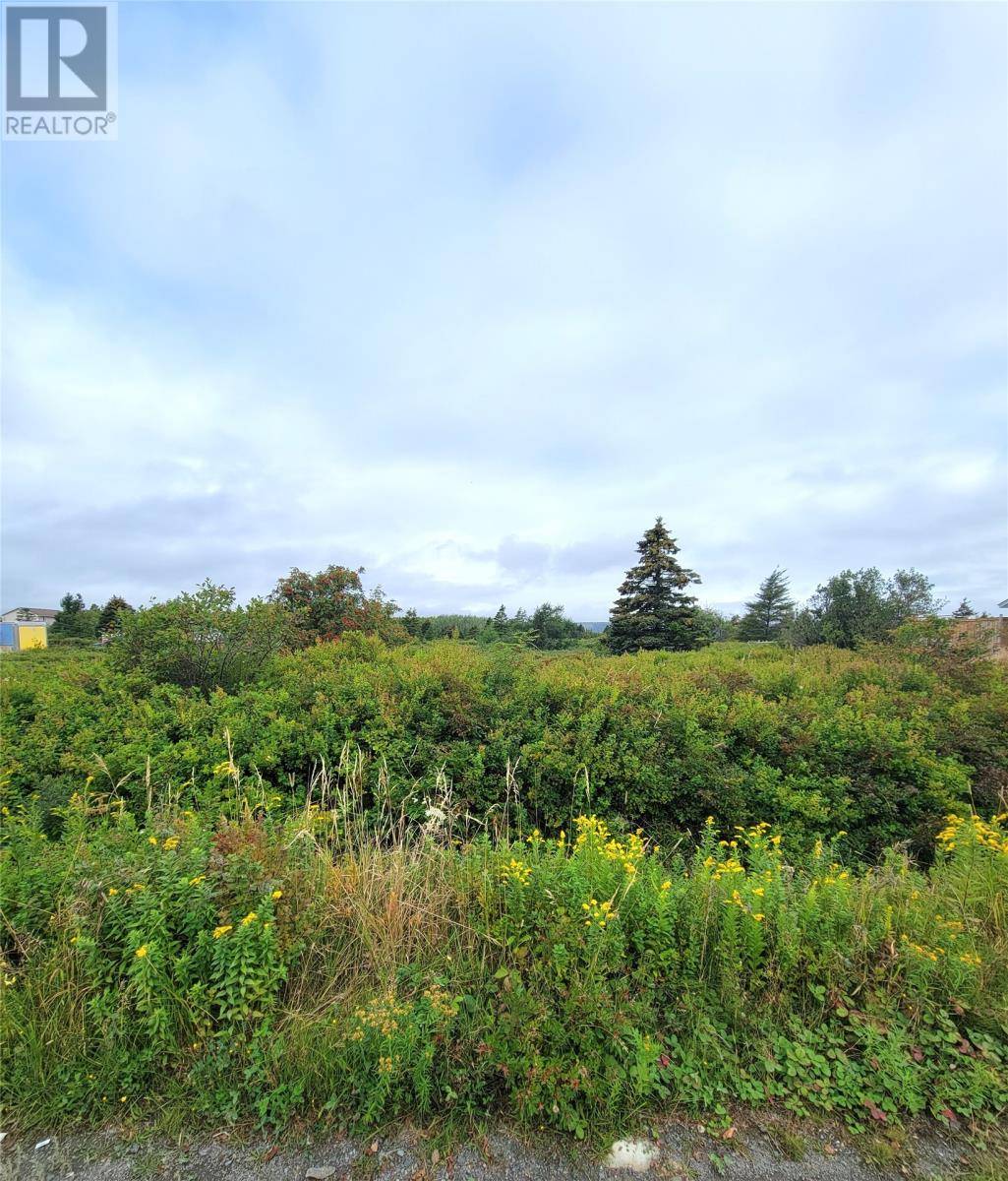 Bay Roberts, NL A0A1G0,70A CENTRAL Street