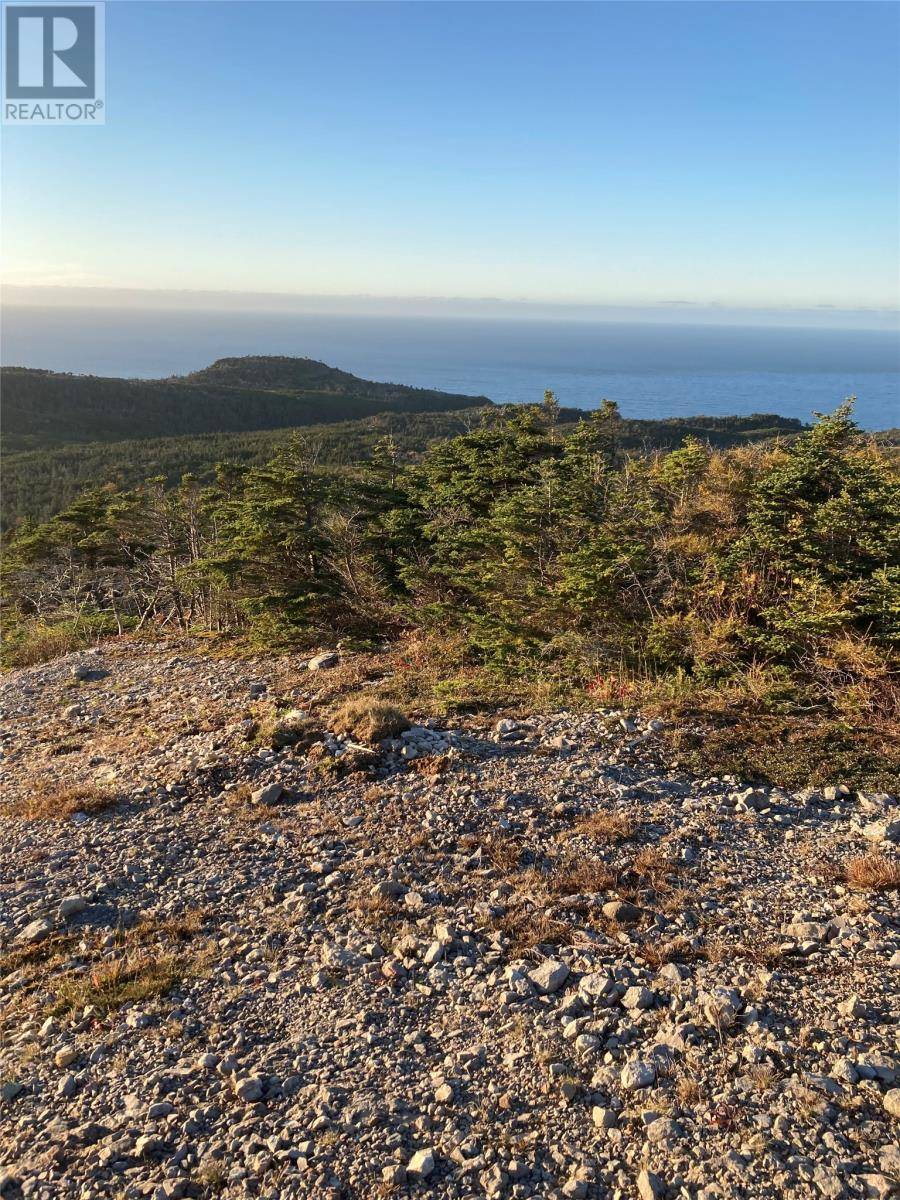 Cape St. George, NL A0N1E0,1690 Oceanview Drive