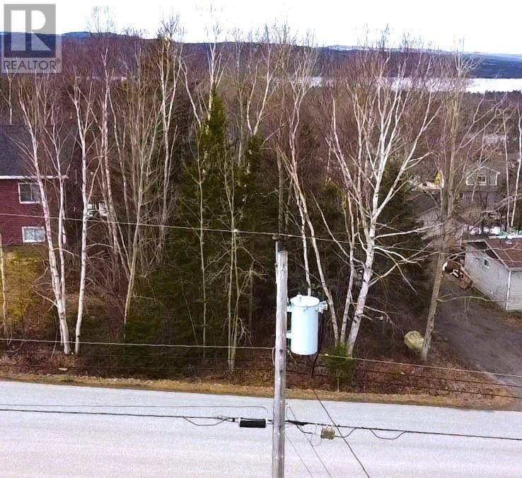 Pasadena, NL A0L1K0,8 Hillview Avenue
