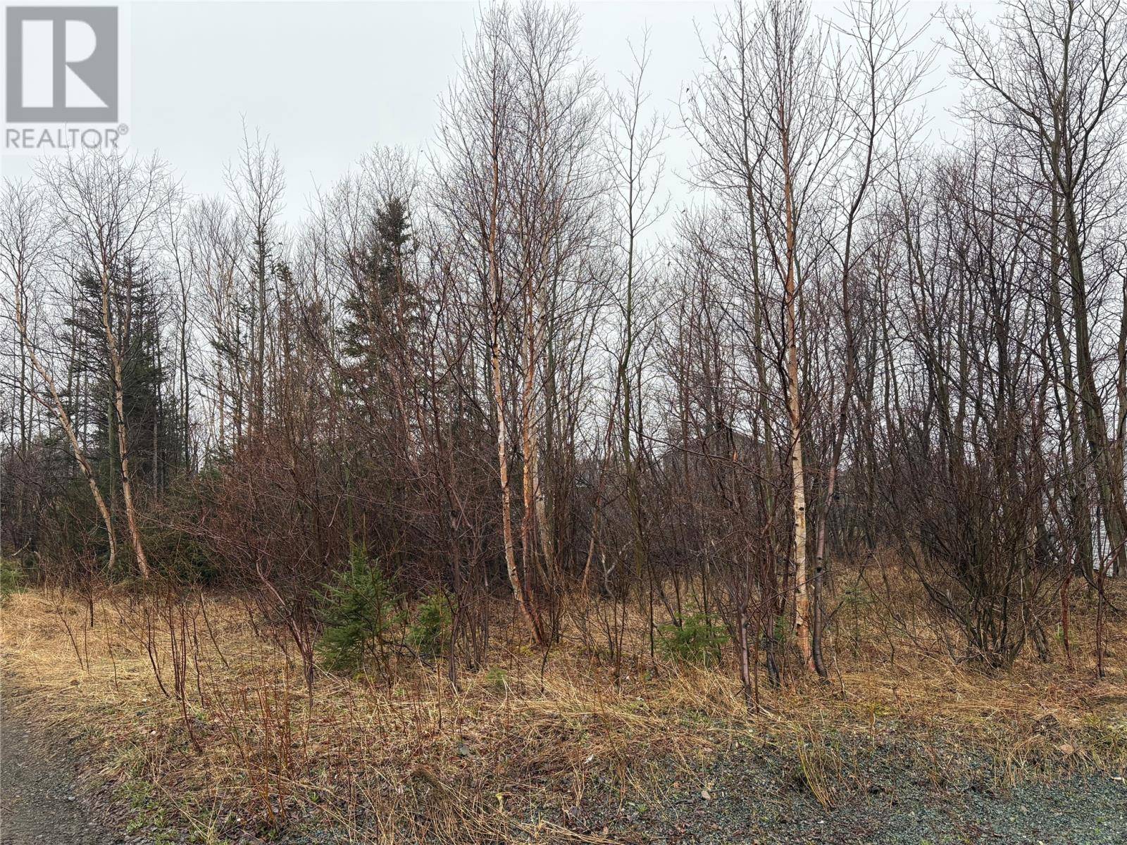 Little Burnt Bay, NL A0G3B0,4 Aspen Street