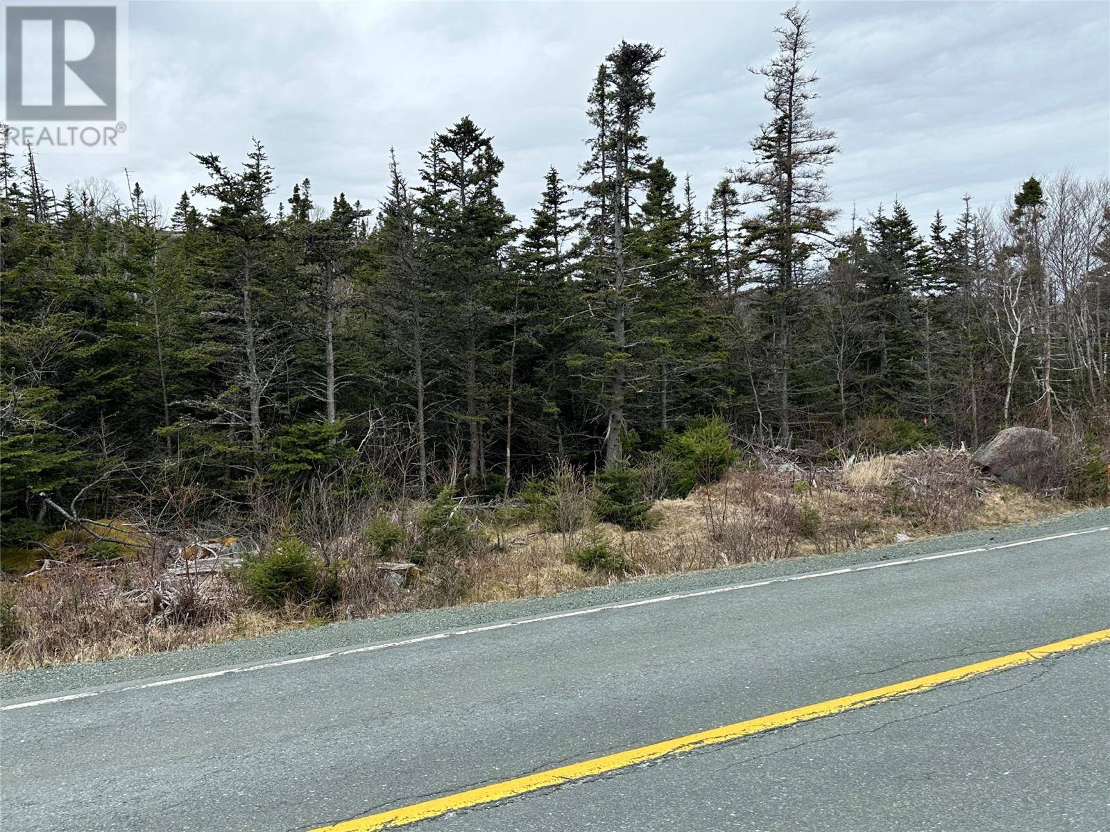 Holyrood, NL A0A2R0,108 Liam Hickey Drive