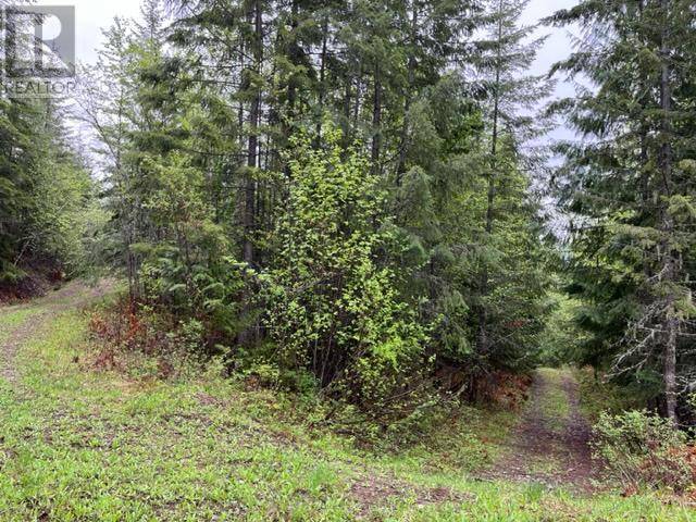 North Shuswap, BC V0E1M4,LOT 2 BISCHOFF Road