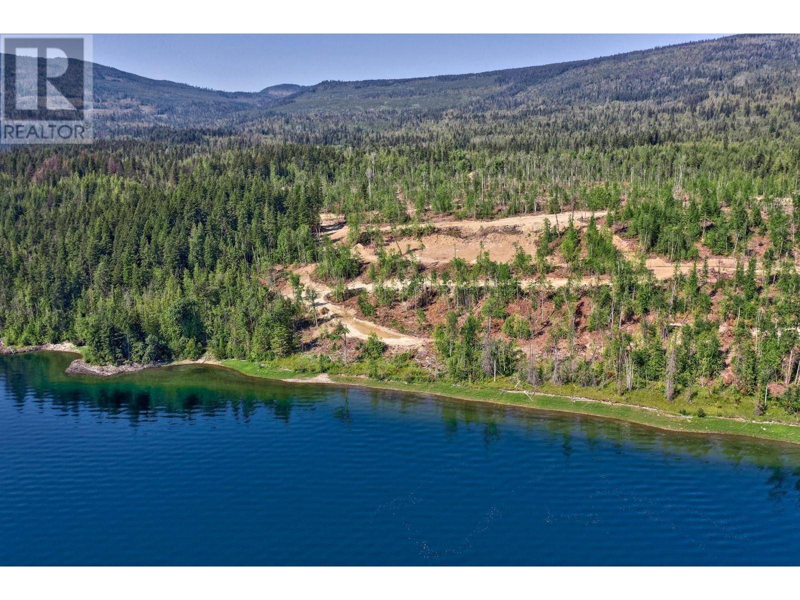 Adams Lake, BC V0E1M0,5600 ADAMS WEST FSR Other #LOT 10