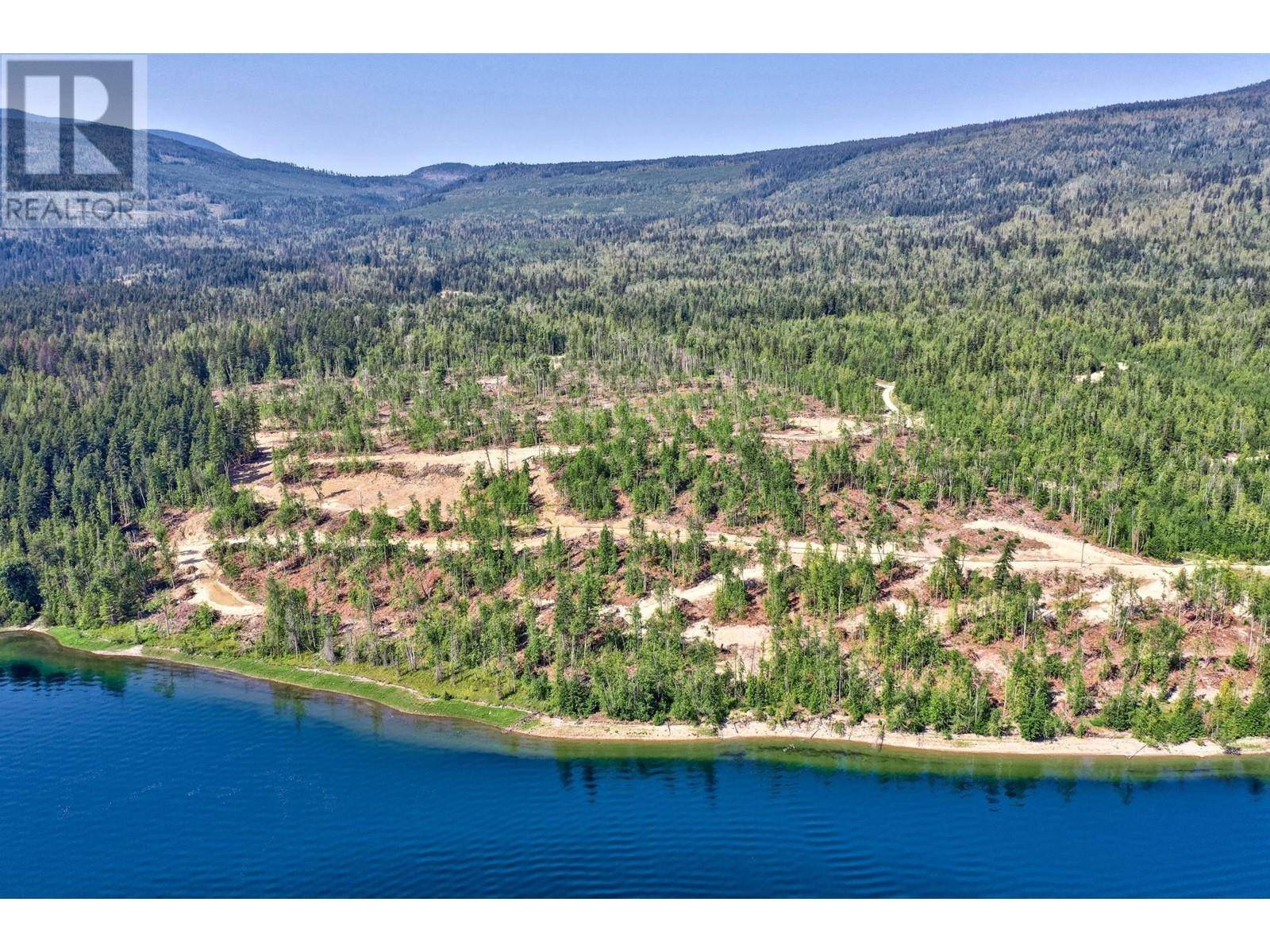 Adams Lake, BC V0E1M0,5600 ADAMS WEST FSR Other #LOT 10