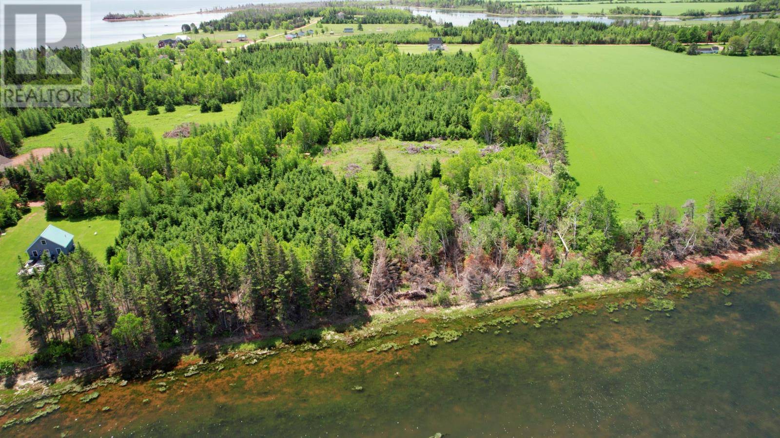 Birch Hill, C0B2C0,Birch Hill