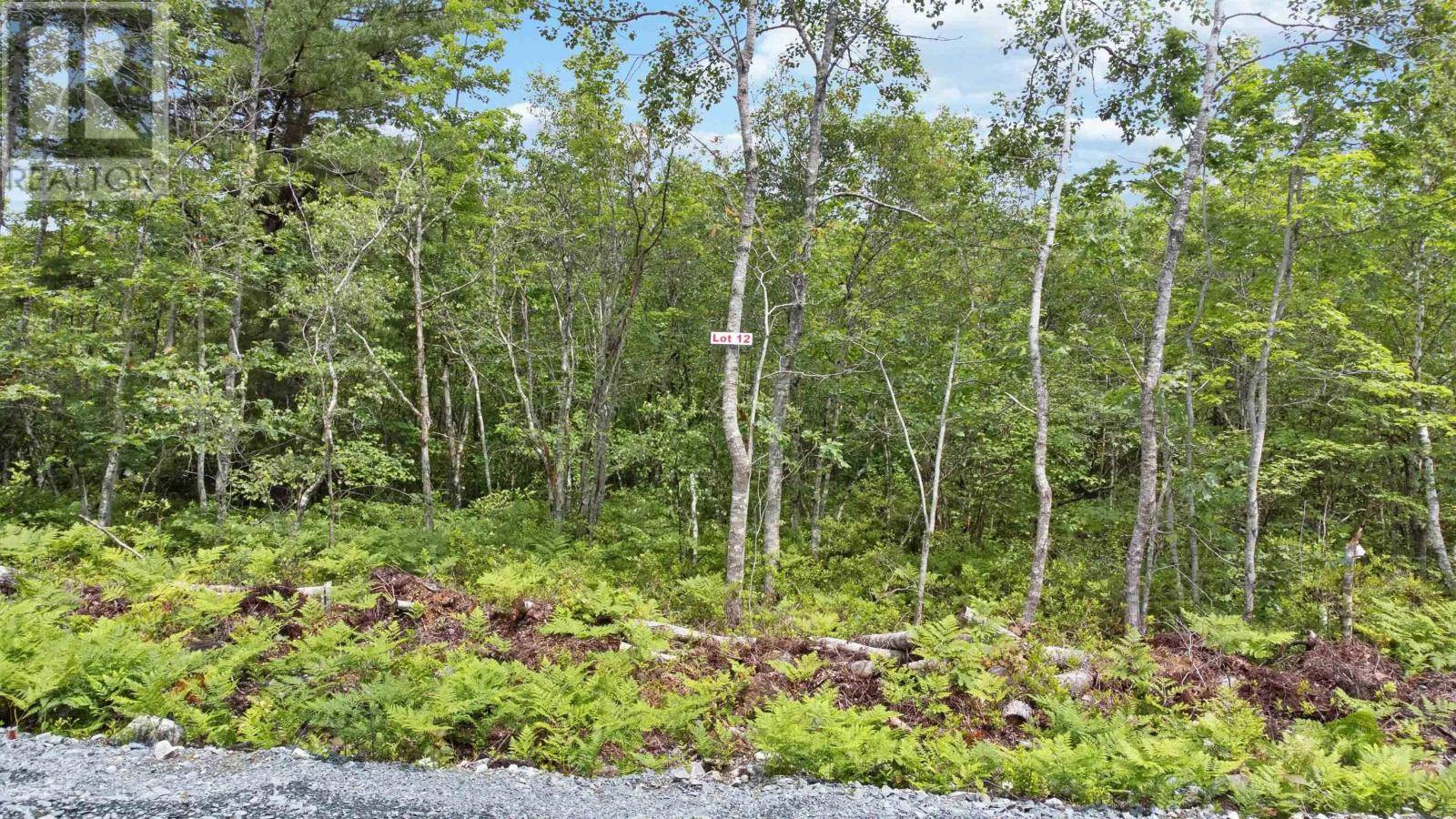 White Point, NS B0T1K0,Lot 12 Maple Ridge Drive