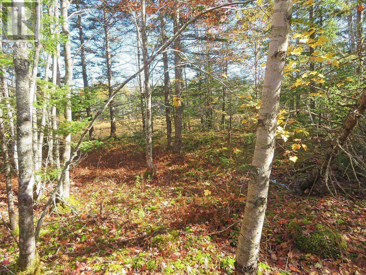 Grantville, NS B0E1J0,Lot5 Lower River Road