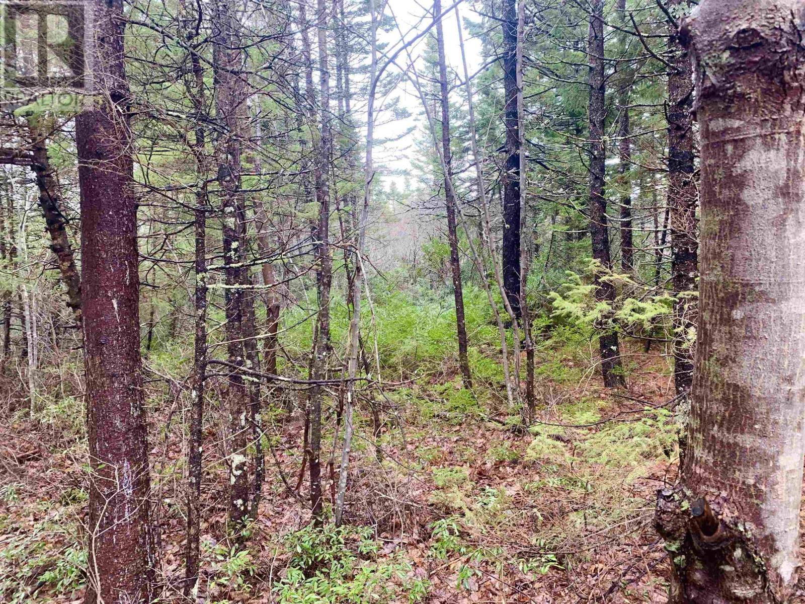 Tusket, NS B0W3M0,2.3 Acres Highway 308|Tusket