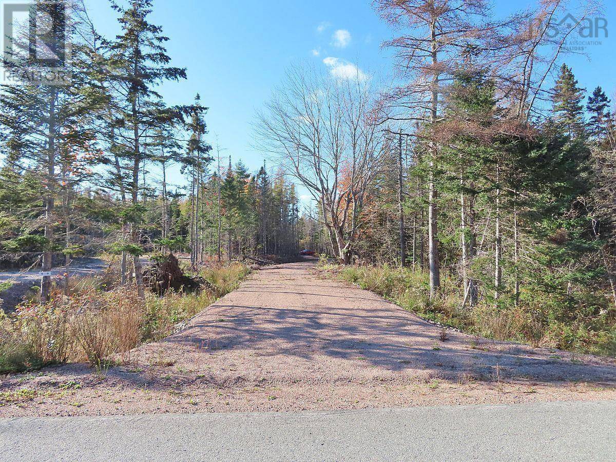 Cleveland, NS B0E1J0,Lot 8 #4 Highway (Lower River Road) Road