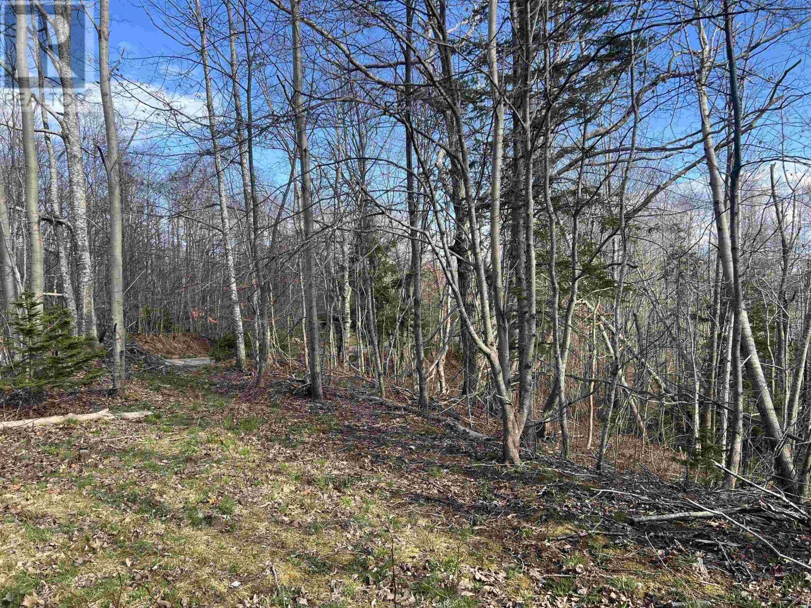 Bay View, NS B0K1H0,Lot 2-1-B Seaview Cemetary Road