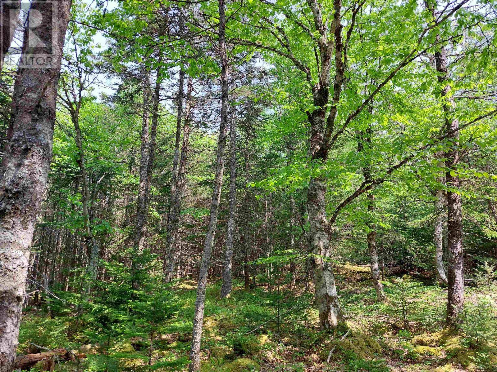 The Points West Bay, NS B0E3K0,Lot 23IJ Diana Mountain Rd.