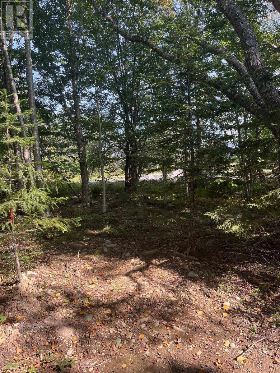 Hassett, NS B0W3T0,Lot 340 Highway