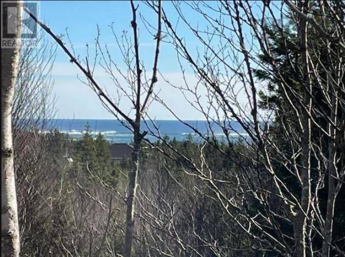 Bayswater, NS B0J1T0,Lot 12 Saddle Island Road