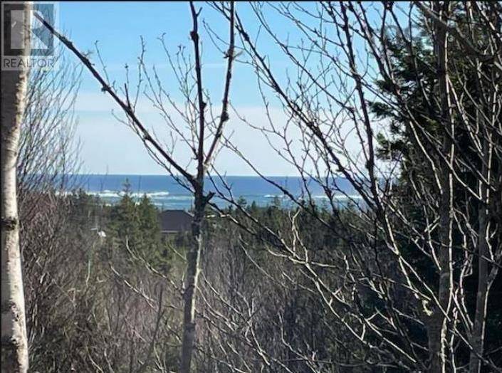 Bayswater, NS B0J1T0,Lot B1-4 Saddle Island Road