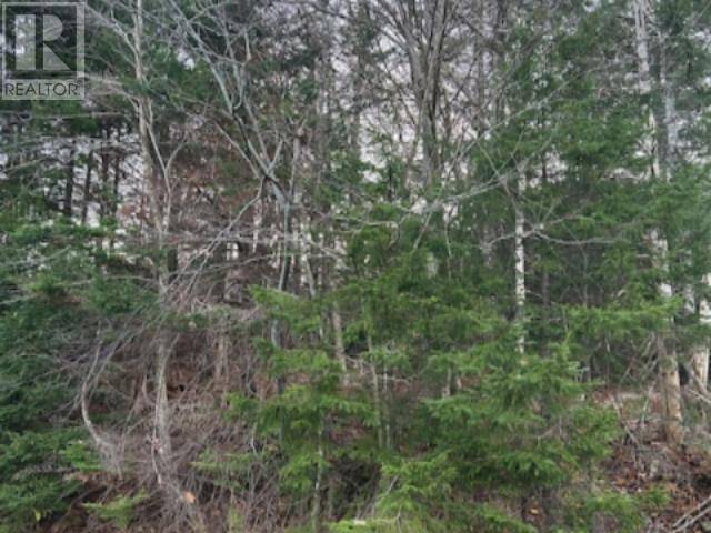 Middle Sackville, NS B4E3B8,Lot 32 Lakeview Avenue