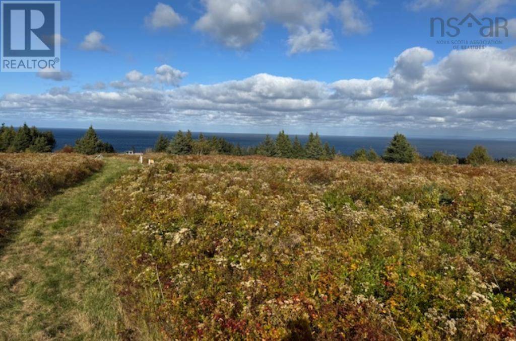 Cape George Point, NS B2G2L2,Lot PID#01290402 Highway 337