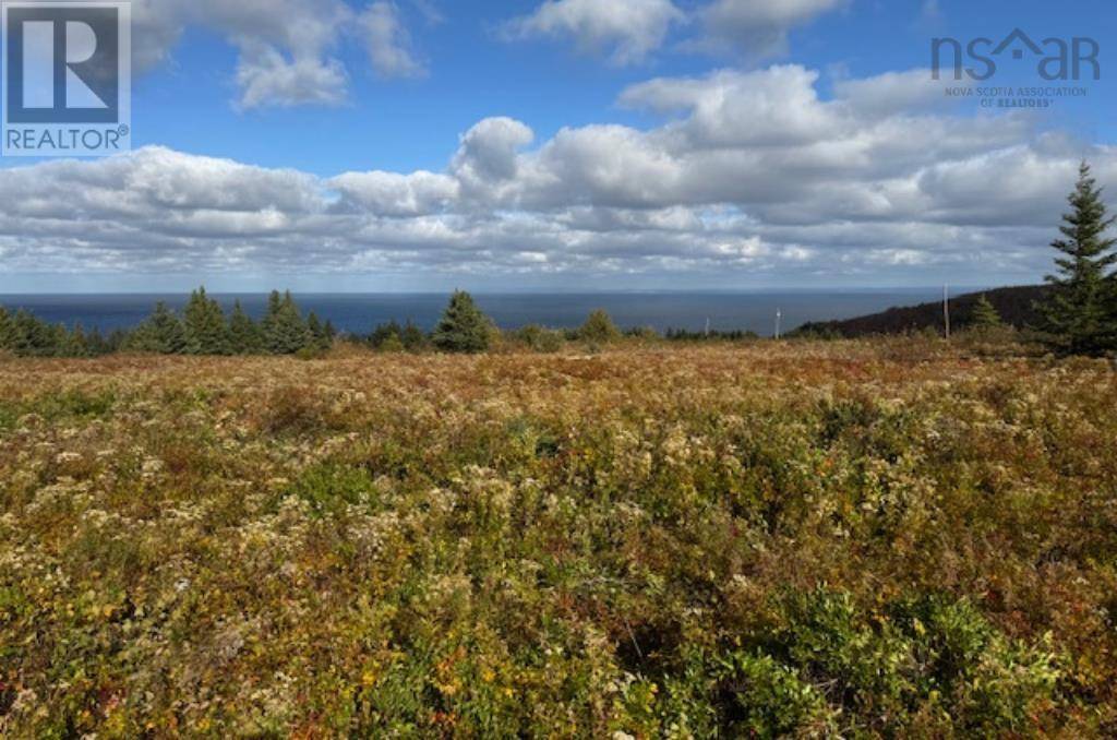 Cape George Point, NS B2G2L2,Lot PID#01290402 Highway 337