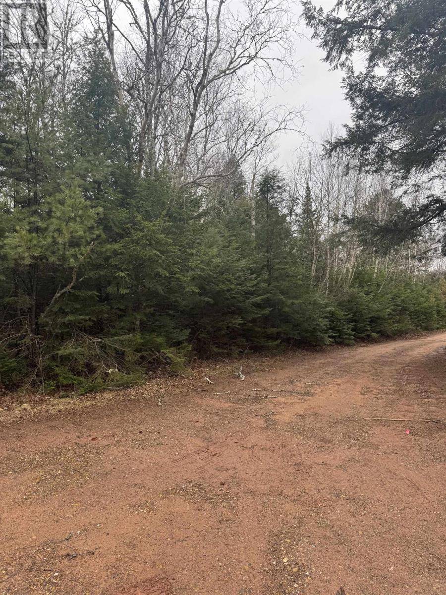 Belle River, C0A1A0,SELKIRK RD #ACREAGE