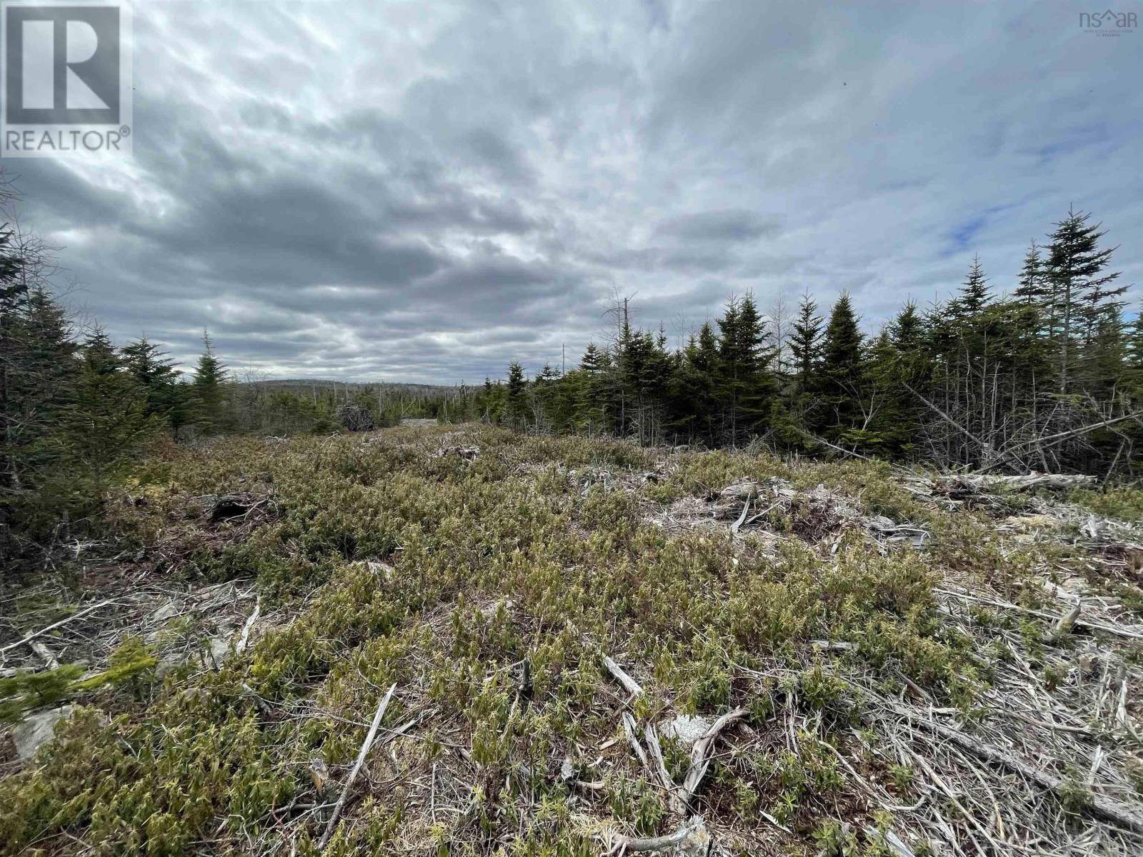 Clam Bay, NS B0J1Y0,143 19 Lipkudamoonk Path