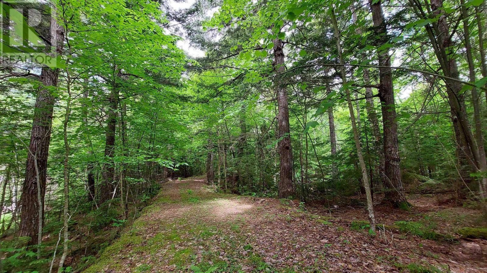 Malagawatch, NS B0E2Y0,Lot 20 Redbird Dr