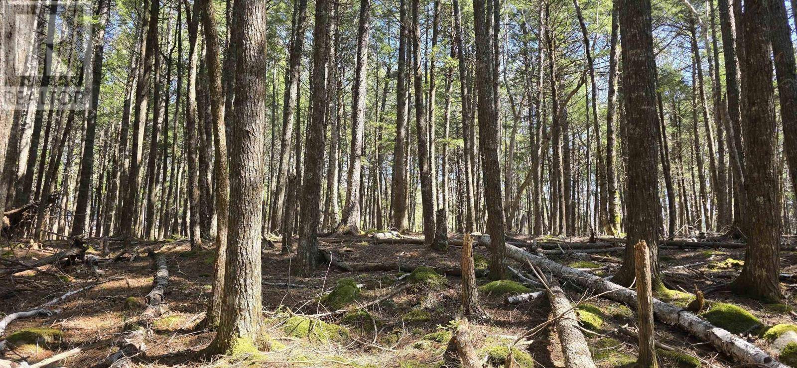 Labelle, NS B0T1E0,Lot 3 Beaver Row