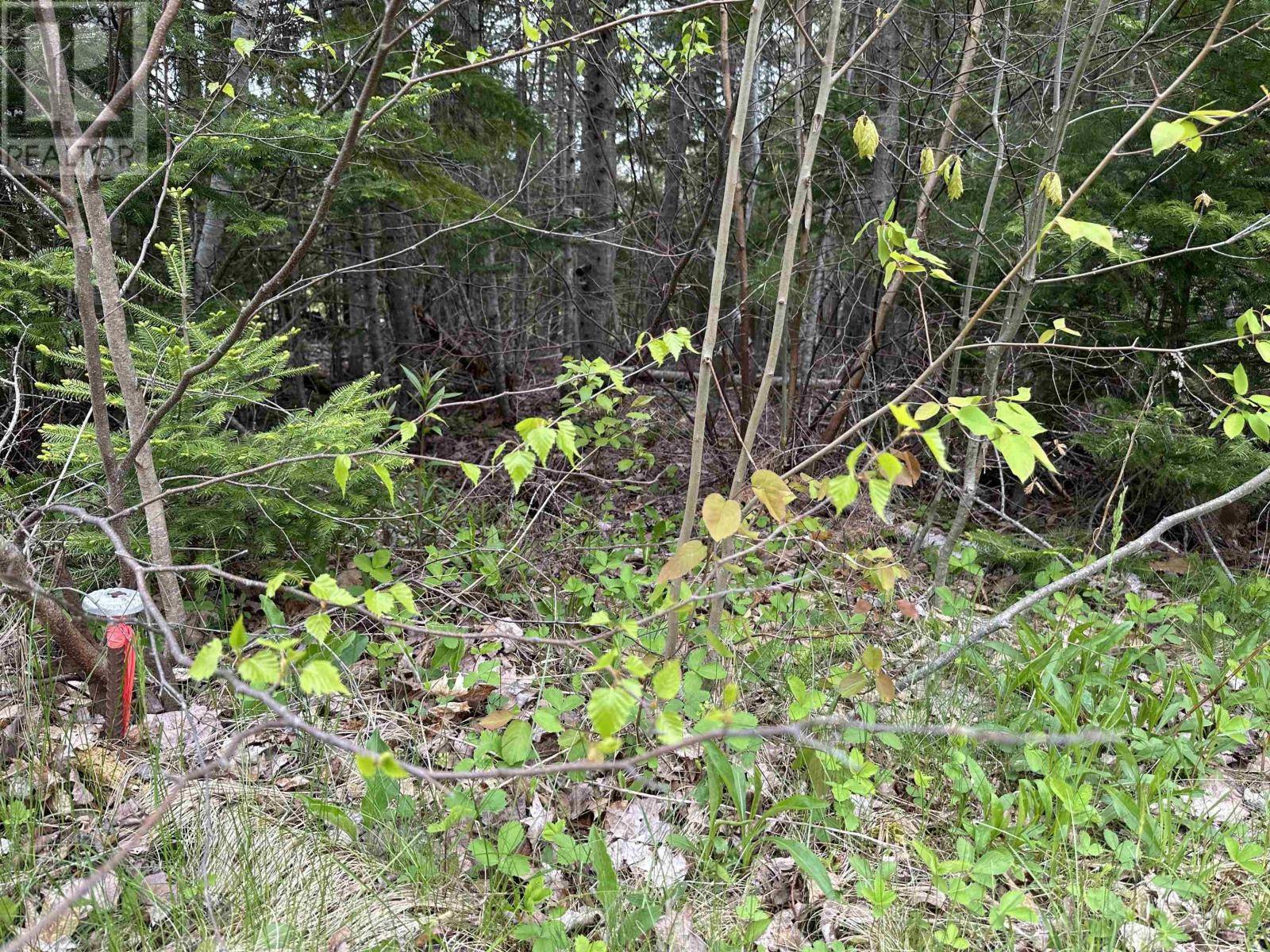 Hazel Glen, NS B0K2A0,Lot Wallace Road