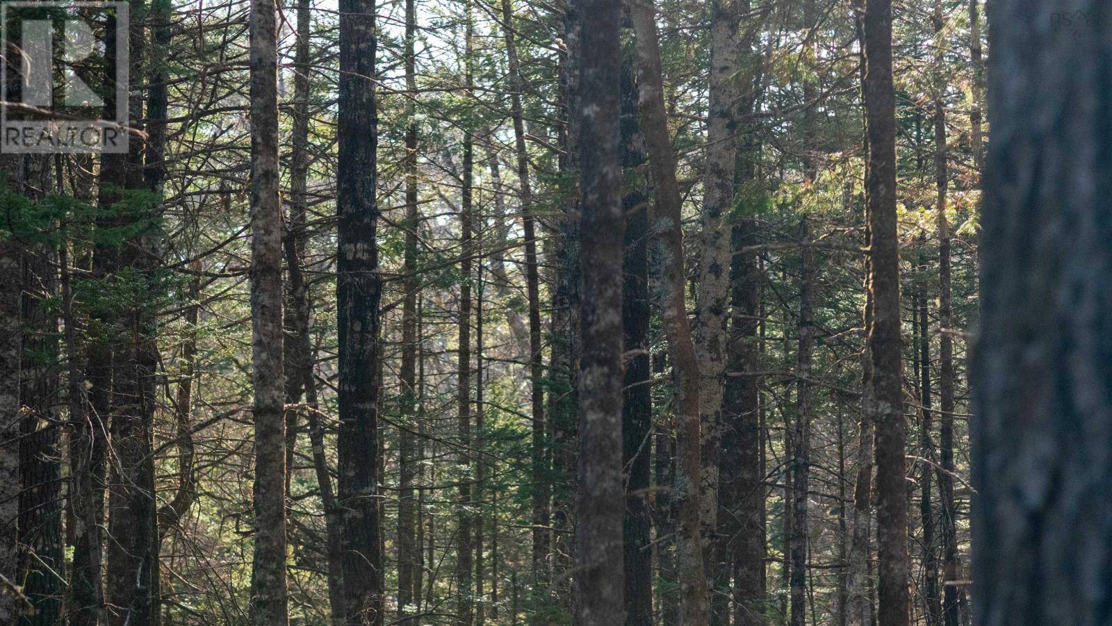 Lower Ohio, NS B0T1W0,Lot 13 Maple Drive